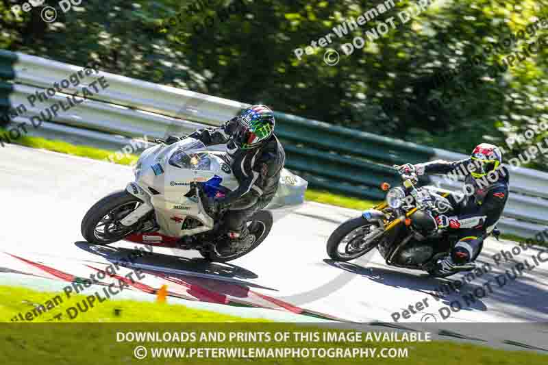 cadwell no limits trackday;cadwell park;cadwell park photographs;cadwell trackday photographs;enduro digital images;event digital images;eventdigitalimages;no limits trackdays;peter wileman photography;racing digital images;trackday digital images;trackday photos